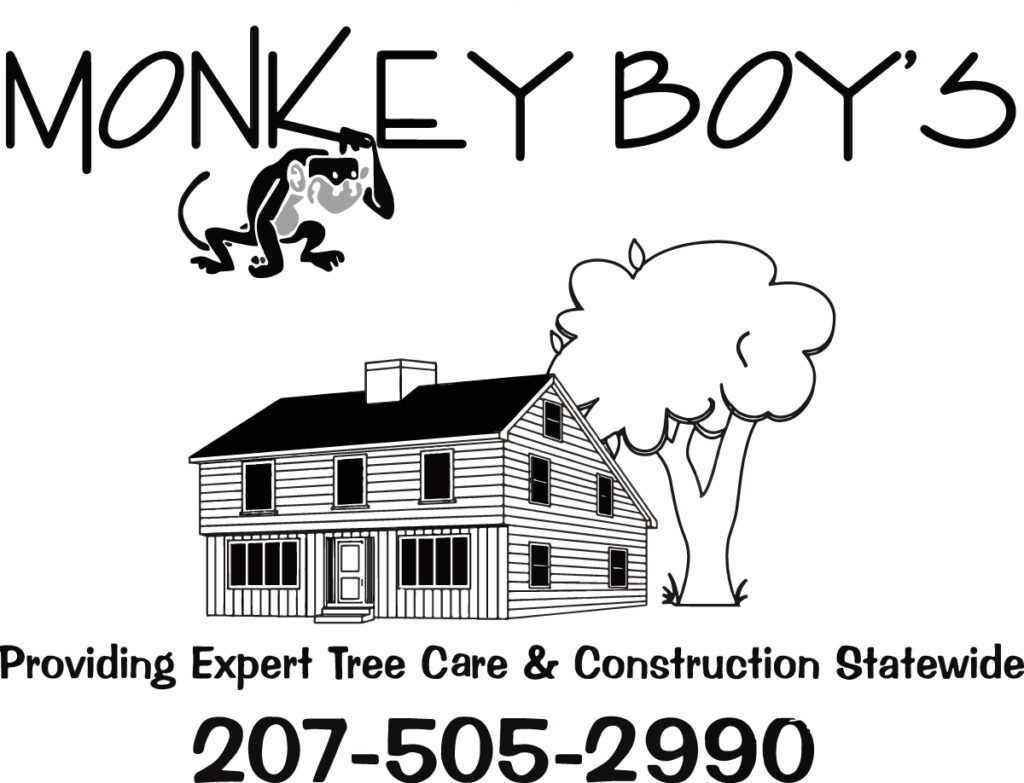 Monkey Boy's Logo